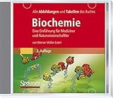Bild-DVD, Müller-Esterl, Biochemie: Die Abbildungen des Buches