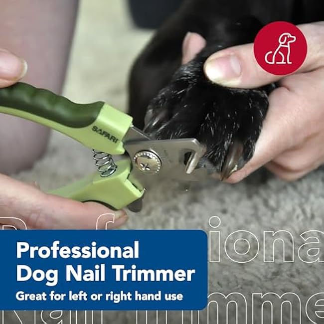 Coastal Pet Safari Professional Dog Nail Trimmer - Nail Clippers & Supplies for Grooming - Dog Claw Care for Small & Large Pets - Large, 6.6 x 2-4ZrP4cit