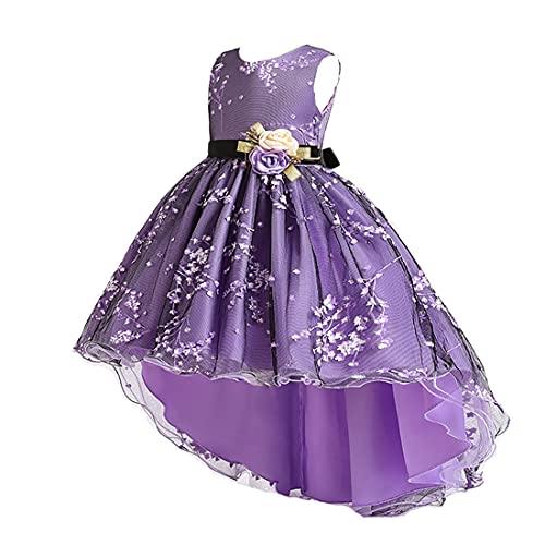 [OWIEOW] LbY hX tH[} ̎q hX O 傫ȃ{ sAm\ t  ܎O(2/p[v 160)