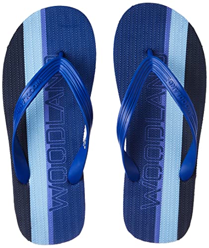 Woodland Mens Blue FlipFlop-10 UK 44 EU (FF 4109021) (B0BM81387P) Amazon Price History, Amazon Price Tracker