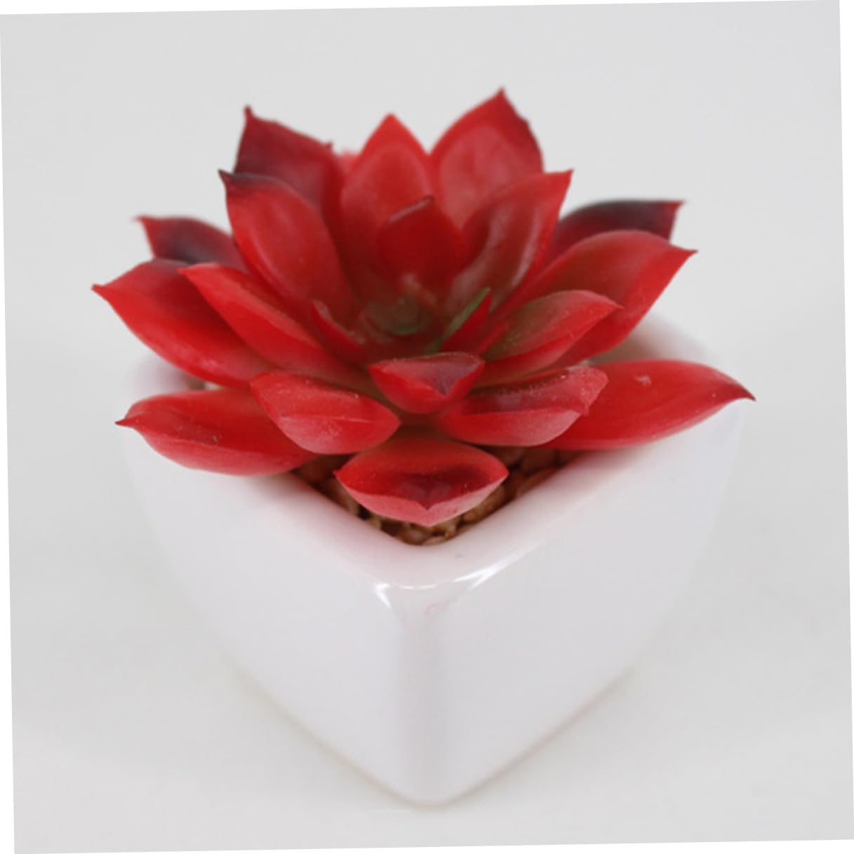 Mipcase 6 Pièces Succulente Artificielle en Céramique Blanche Mini Bonsaï