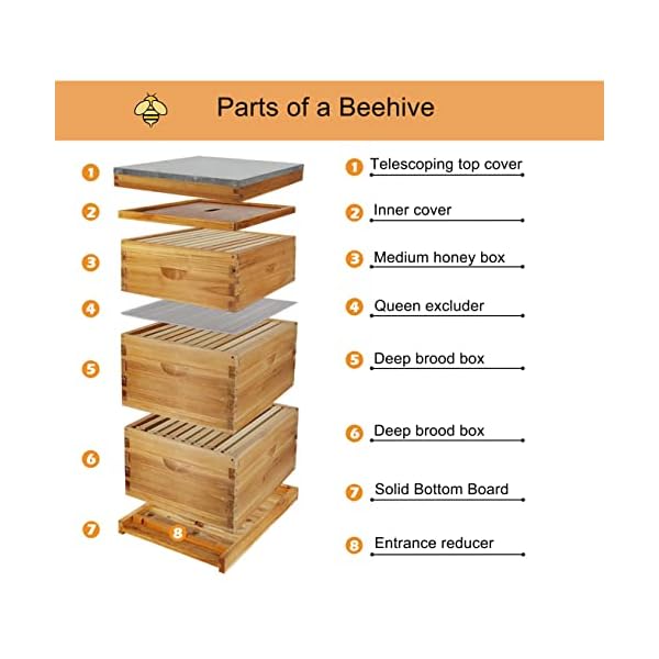 Benifits Of A Deeper Brood Box In A Bee Hive