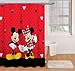 Disney Mickey Mouse and Minnie Mouse 70