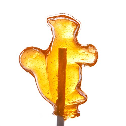 Lollipop Rooster - Small Squirrel 3D Lollipop - 10 pack image 2