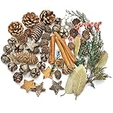 Adventskranz Deko, Potpourri Weihnachten,Weihnachtsdekoration mit Zapfen, Zweigen, Birke Stern, Zimt, Weihnachtlich Bastel Set, Tisch deko Adventskranz, Weihnachtsschmuck, Golden