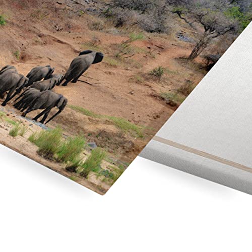 Affiche Éléphant d'Afrique poster savane pour salon chaleureux