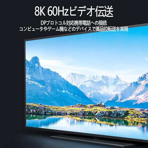 LUYING USB-C to USB-C 13cm平形 短いケーブル