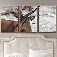 3 Piece Framed Canvas Wall Art Spiritual Being Animals Deer Expressive Impressionism Rustic - 16
