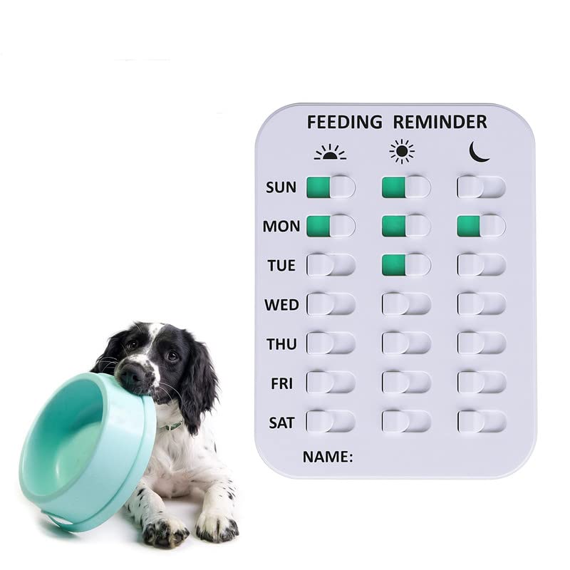 What Happens When You Overfeed A Dog