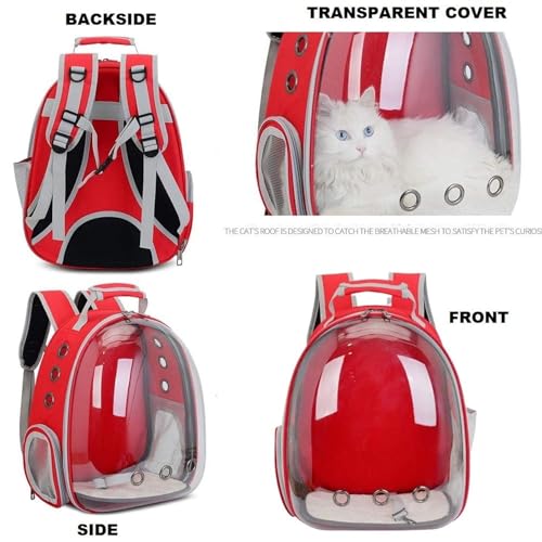 Image of The Pets Company Transparent Capsule Breathable Airline-Approved, Ventilate Carrier Backpack for Travel, Hiking and Outdoor for Cats & Kittens - Red