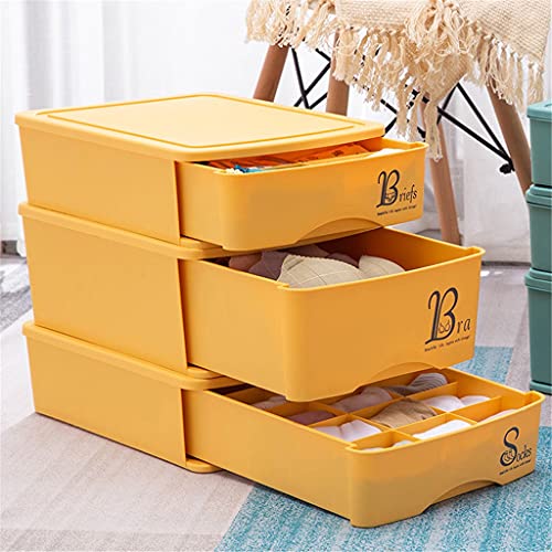 bns7fapq Conjunto de 3 piezas de ropa interior organizador organizador de ropa caja de almacenamiento sujetador guantes armario organizador caja con protección (color: B, tamaño: 32,225,932,4 cm) (C