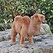 Peluches 20 cm de Haut réaliste bactriane Chameau Animaux en Peluche Jouets Vie réelle chameaux en Peluche Jouet Cadeaux pour Enfants garçons Filles