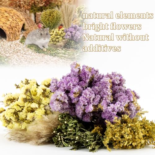 image for Sukh Herb Bedding Habitat Decor - Natural Flower Habitat Decor Natural