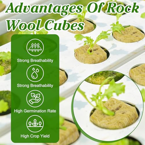 300 Pieces 1 Inch Rockwool Cubes for Hydroponics, Garden Rock Wool Planting Cubes with 10 Plant Name Tags Seed Starter Plugs Mini Blocks for Soilless Cultivation Seedlings Cutting Clone (6 Sheets) - Image 5