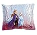 Jay Franco Disney Frozen 2 Forest Spirit Twin/Full Comforter & Sham Set, Mutli