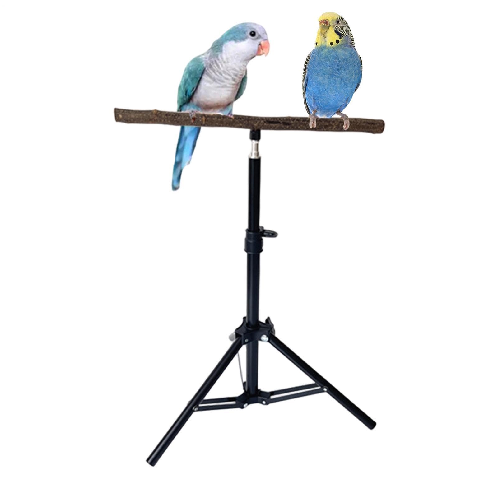 Soporte Para Pájaros: Hábitat De Perca Con Base De Trípode De 60 Cm, Estructura De Juego De Entrenamiento Compacta, Estación De Ejercicio Portátil Para Pájaros | Kit De Configuración De Actividades Pa