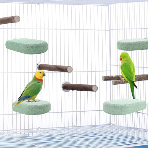 Image of Pet Teeth Grinding Stone and Perch, Bird Perch Stands, Natural Chewing Toys for Small Medium Birds Budgies Conures Cockatiels Rats (4 Colores, Big)