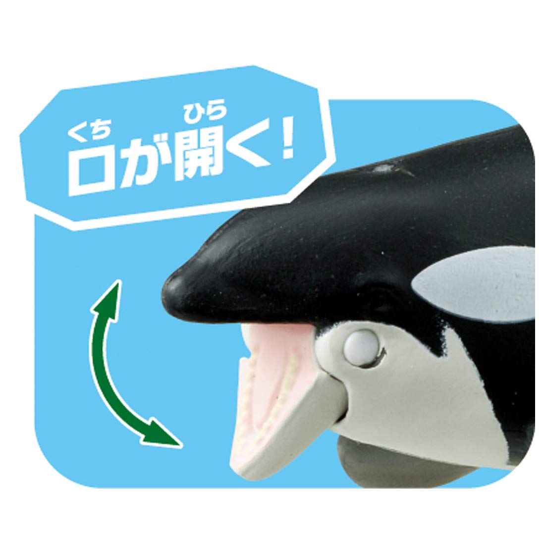 Amazon.co.jp: タカラトミー(TAKARA TOMY) アニア AL-08 シャチ親子