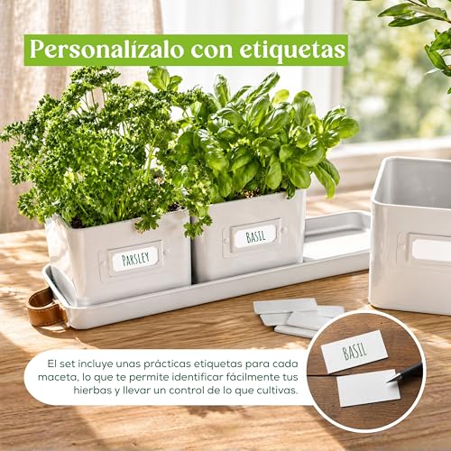 Miniatura 5 de Green Thumbz Macetas Decorativas Interior Con Macetero Rectangular Con Mangos De Cuero - Macetas Y Jardinera Rectangular Ideales Para Plantas De Interior - Color Blanco