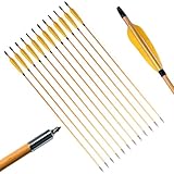 PG1ARCHERY Archery Target Wooden Arrows, Practice Hunting Arrow with Parabolic 5" Turkey Feathers Fl