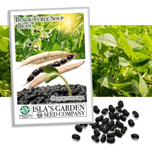 Black Turtle Soup Bean Seeds – 25+ Non-GMO & Heirloom Seeds, Phaseolus vulgaris, Rich Flavor Black Beans for Soups & Stews, High Yield Warm-Season Legume, by Isla’s Garden Seeds, Gift Idea