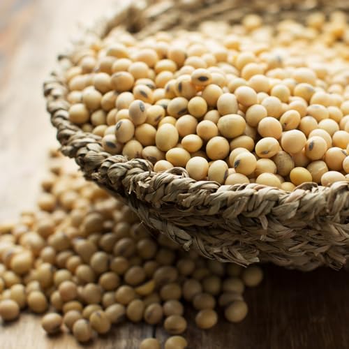 Chung Jung One Sojabohnenpaste 1er pack von 500 Gramm / Premium Qualität aus Südkorea / authentischer Geschmack