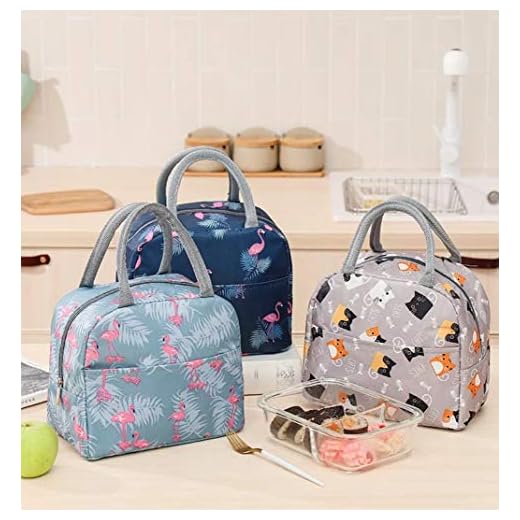 KIDOS JOY™ Attractive Useful Insulated Travel Lunch/Tiffin/Storage Bag for Office, College , Picnic & School for Kids and Adults ( Pack-1 Random Design )