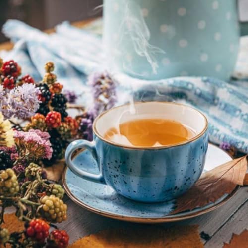 Chaleira Elétrica Vintage 1,7L 127V Ariete Azul glide