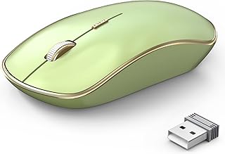 J JOYACCESS 2.4G Slim Wireless Silent Mouse, Portable Wireless Computer Mouse with 5 Adjustable DPI Levels, USB Mouse for Desktop, Notebook, MacBook, Chromebook, PC (Light Green)