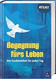 begegnung fürs leben hülle  Begegnung fürs Leben, Motiv \