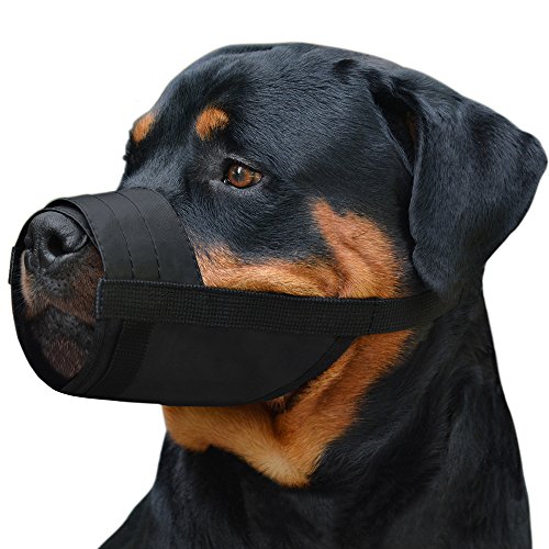 Collardirect 2-Pcs Set Dog Muzzles - Adjustable Soft Breathable Nylon Dog Mouth Guard Cover For Small, Medium And Large Dogs, Anti Chewing, Barking & Biting (2 Black; L/Xl (2 Count)) #TOP4