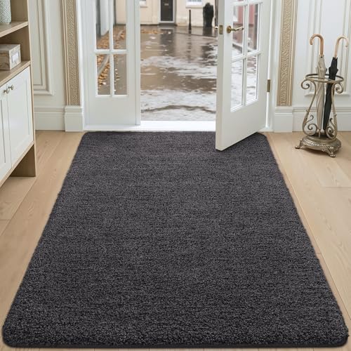 DEXI Paillasson Interieur Entree 120 x 180 cm, Tapis d'Entrée Antidérapant Lavable en Machine, Tapis de Sol avec Microfibres Douces Absorbantes pour Entrée,...