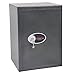 Produktbild Phoenix Safe SS1173K Möbeltresor Schlüsselschloss VDMA24492 Stufe B VDs Klasse1, Groß