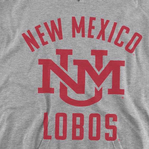 LOGOVISION The University of New Mexico Large One Color YOUTH HOODED SWEATSHIRT2