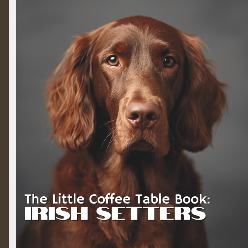 The Little Coffee Table Book: Irish Setters: 75 fascinating facts that explore everything from the breed’s rich history and sporting heritage to their ... nature, intelligence, and playful quirks.