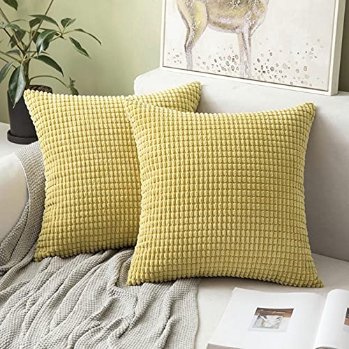 Price comparison product image MIULEE Set of 2 Decorative Corduroy Cushion Covers 18x18 Inches