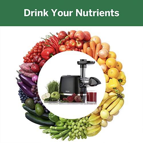 Omega Cold Press 365 Juicer Masticating For Fruit Vegetable And Leafy Greens, 150-Watt, Black (Renewed Premium) #TOP4