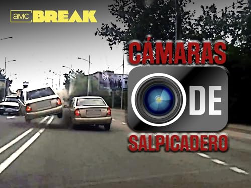 Cámaras de salpicadero