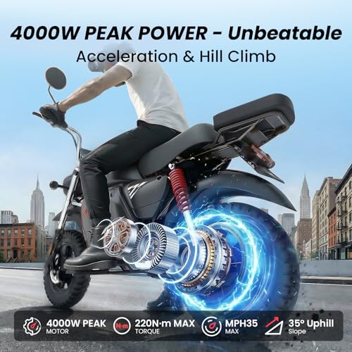Flydone Y18 4000W Electric Dirt Bike