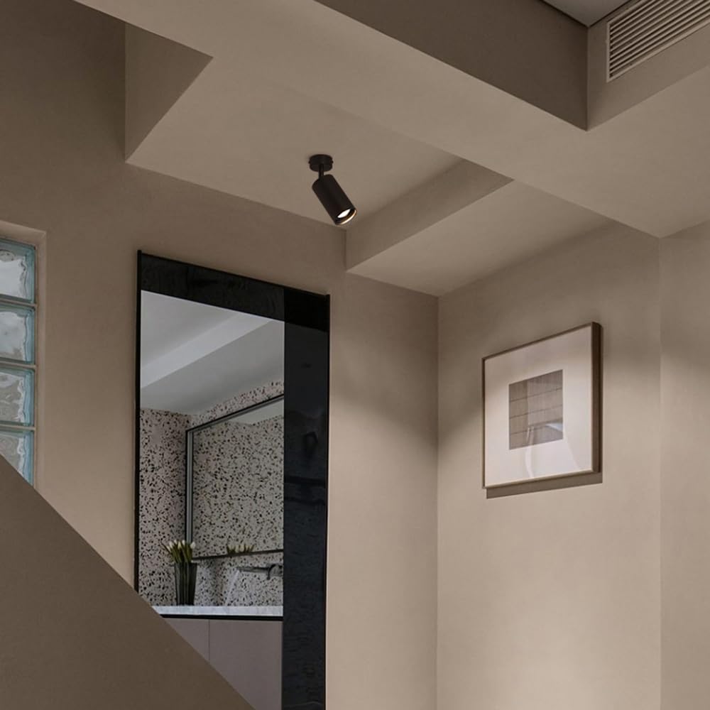 Spot LED 7 W, plafonnier encastré moderne à angle réglable, idéal pour un salon ou un mur, applique murale en aluminium, éclairage pour tableau ou vitrine, lumière blan,Black-white light 6000 K