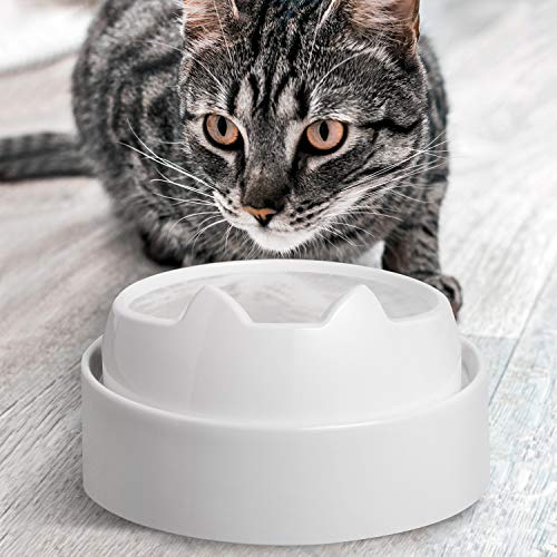 Catguru Food Table For Cat Bowl, Non Slip Pet Feeding Station For Cat Food Bowls, Raised Stand For Food And Water Cat Bowls, Elevated Cat Feeder, Stress Free Pet Dish Stand (Marshnallow) #TOP6