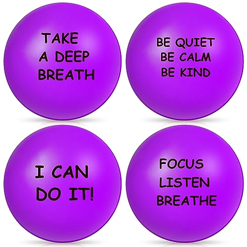 Ceenna 4 Pcs Motivational Balls for Adults Anxiety Relief, Purple