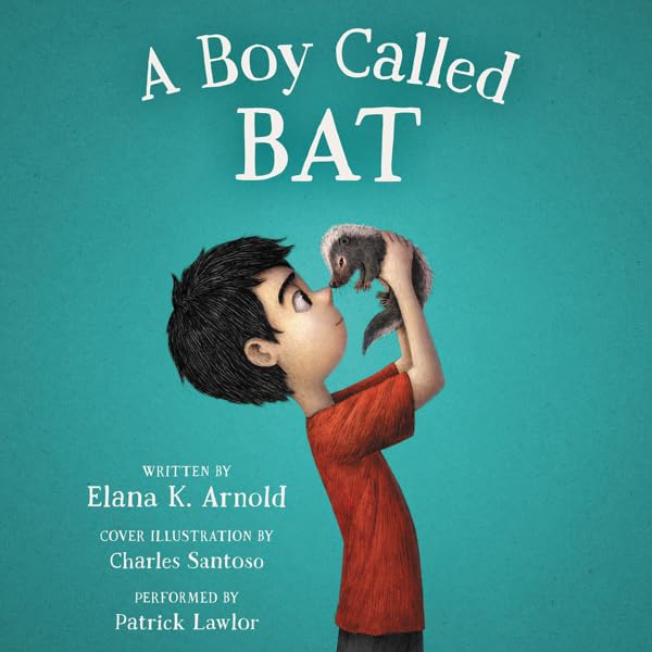 Cover art for A Boy Called Bat