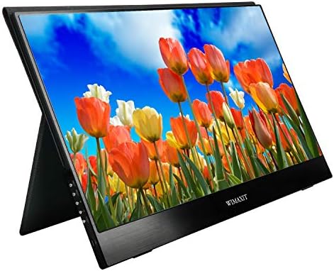 USB C Monitor Compatible with Laptop 