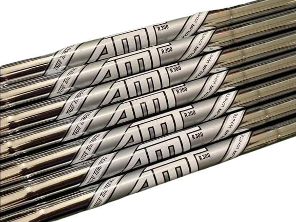 True Temper AMT Tour White Steel Iron Shaft .355