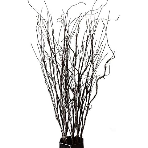 FeiLix Branches décoratives séchées 78 cm Cover