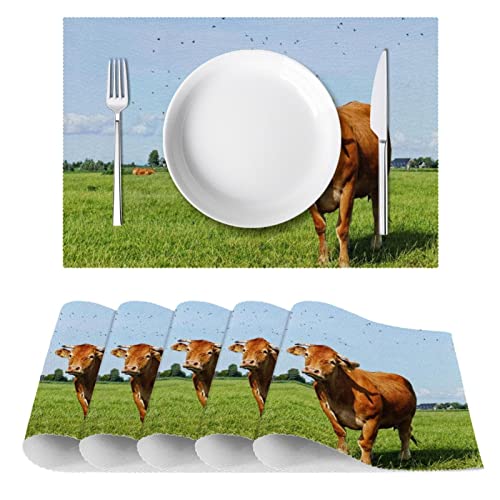 Set de table vache lavable et antidérapant protégeant de la chaleur