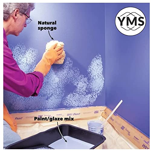 Image of YMS Natural Ocean SEA SPONGES Artists Crafts Painting Tool General Use, 2 pc