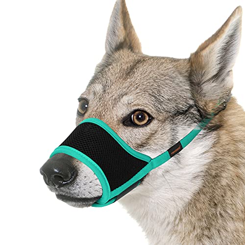 Top 10 Dog Muzzle For Barking of 2022 Katynel