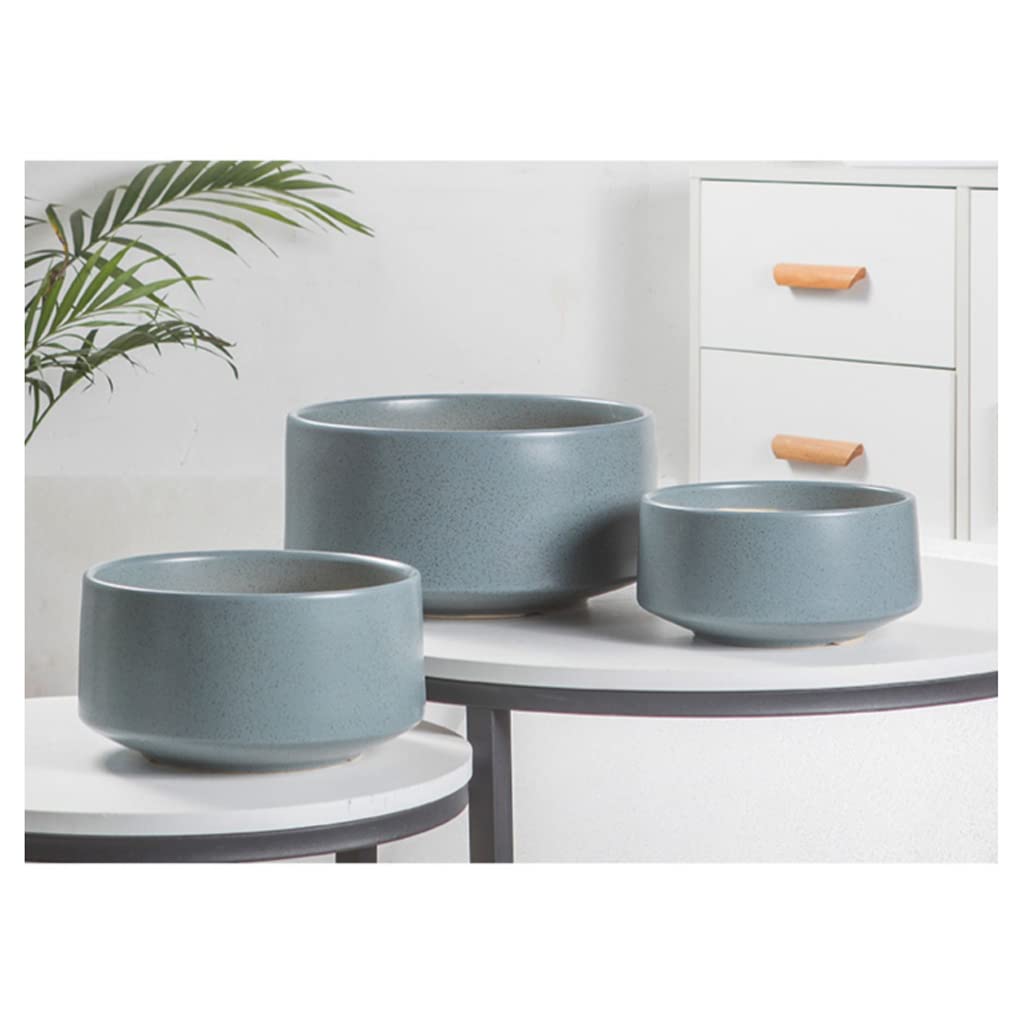 Vasi da Giardino Vaso di Fiori succulenti per la casa per la Decorazione Domestica, fioriere per vasi in Ceramica con Fori di drenaggio e piattini per Desktop